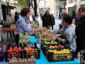 2015-10-17_077-Sant Galderic