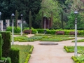 Rosa Civico-01.jpg