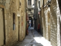 3er Pere Ventura-03.jpg