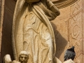 Paco Gonzalez (1)