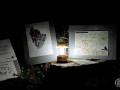 2019-10-05_00214