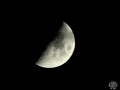 2019-10-05_00265